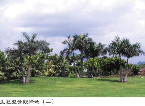生態型景觀綠地（二）