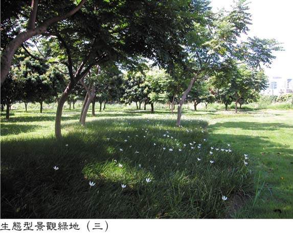 生態型景觀綠地（三）